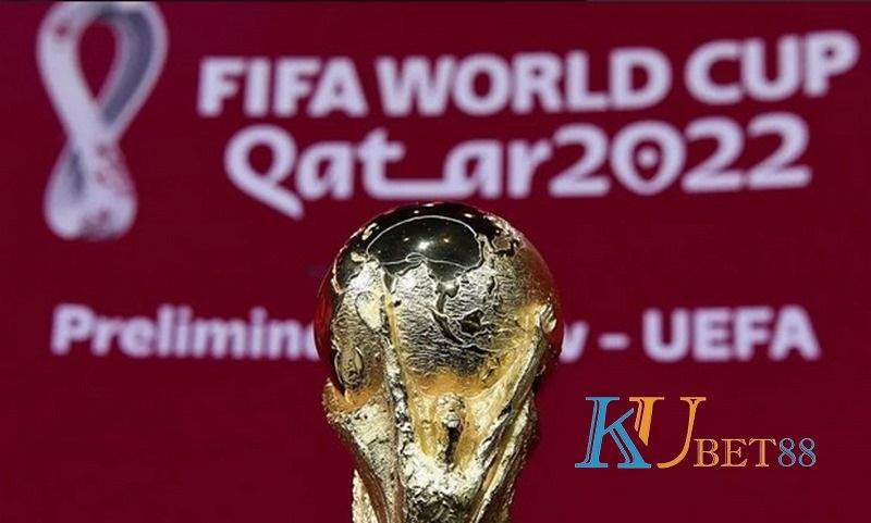 World Cup 2022 có mấy đội