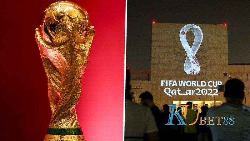 World Cup 2022 có mấy đội